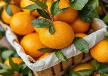 isenção de tarifas para subprodutos da laranja