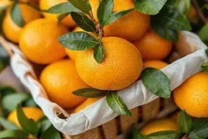 isenção de tarifas para subprodutos da laranja