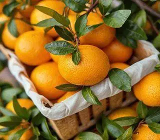 isenção de tarifas para subprodutos da laranja