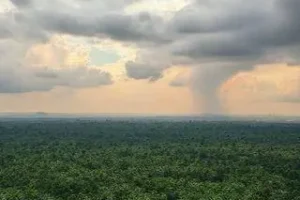 desmatamento no cerrado