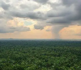 desmatamento no cerrado