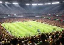 brasileiros nunca foi a jogo de futebol