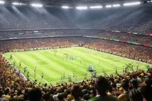 brasileiros nunca foi a jogo de futebol