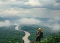 roteiro para Amazônia