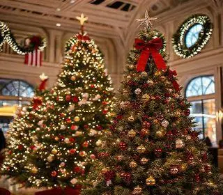 China ameaça o setor de árvores de Natal