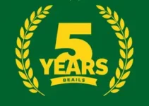 SAFs no Brasileirão