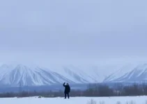 incerteza econômica