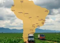 avanço da colheita em MT