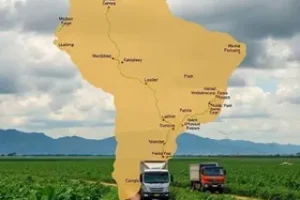 avanço da colheita em MT