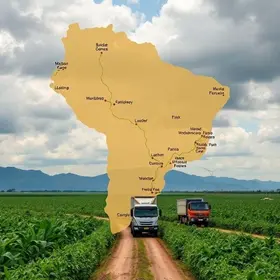 avanço da colheita em MT