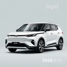 veículos de nova energia