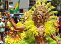 enredo escola de samba Lula