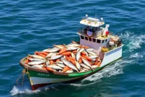 exportação de pescados do Brasil
