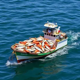 exportação de pescados do Brasil