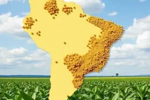 exportação de soja