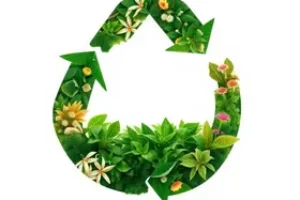 economia circular
