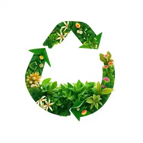economia circular