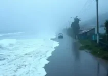 onda de frio